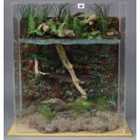 A taxidermy display of a trout mounted in its natural surrounds, in perspex case, 21½” wide x 26”