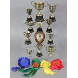 A collection of assorted gymkhana & horse-show rosettes & trophy cups.