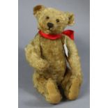 AN EARLY-MID 20th CENTURY STEIFF GOLDEN PLUSH TEDDY BEAR, with button to ear & with moveable