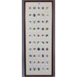 A display of John Players “Dogs” cigarette cards (50 of 50), in a glazed frame.