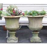 A PAIR OF VICTORIAN CAST IRON GARDEN URNS, of campana form, each with egg-&-dart border, gadrooned &