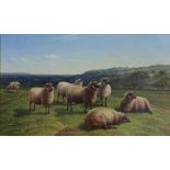 CHARLES JONES, R.C.A. (1836-1892). Sheep in a landscape. Signed with monogram & dated ’90 lower