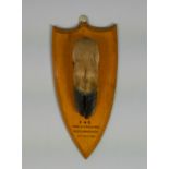 A taxidermy Deer hoof, mounted to a golden oak shield-shaped plaque inscribed: “D & S., Found
