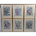 A set of twelve “Twelve Months of Flowers” series coloured prints, 16½” x 12”, in matching glazed