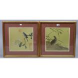 A pair of Chinese coloured prints of birds, 11¼” square, in matching glazed gilt frames.