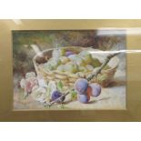 Early 20thC British School - a still life study of mixed fruit in a basket watercolour bears text
