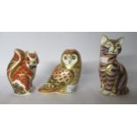 Three Royal Crown Derby china paperweights, viz. an owl 4''h; a cat 5''h; and a squirrel 4.