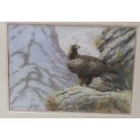 Bruce Pearson - an eagle perched on rocks watercolour bears a signature & dated '94 16.