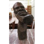 A native carved fruitwood bust  17"h