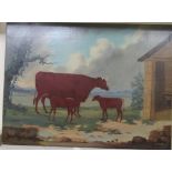 Early/mid 20thC British School - a cow and two calves  oil on canvas  20" x 15"  unframed