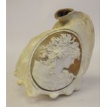 A conch shell carved cameo profile, head and shoulders portrait, featuring a classical maiden,