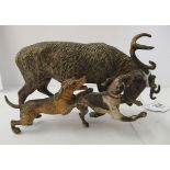 A late 19thC Austrian painted cold cast bronze group, two hounds attacking a stag  3.5"h