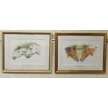 Judith Ingram - two studies, horses  watercolours  bearing signatures & dated '03  17" x 12"  framed