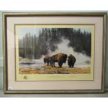 David Shepherd - 'The Hot Springs of Yellowstone'  Limited Edition coloured print 139/1500  bears