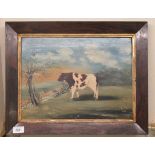 BW Noble - a naïve study, a standing bull in a landscape setting  oil on canvas  bears a signature