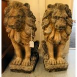 A pair of composition stone terrace ornaments, seated lions, on plinths  18"h
