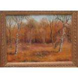 PC Hutchinson - 'A birch wood glade'  oil on board  bears a signature  5.5'' x 7.5''  framed