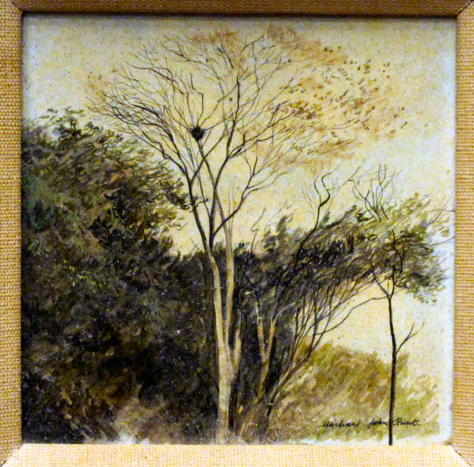 Michael John Hunt - 'Tree Study' (a pair)  oil on canvas  bearing signatures & labels verso  4.5''sq - Image 3 of 5