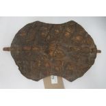 A 20thC Sudanese crocodile skin shield  13" x 9.5"