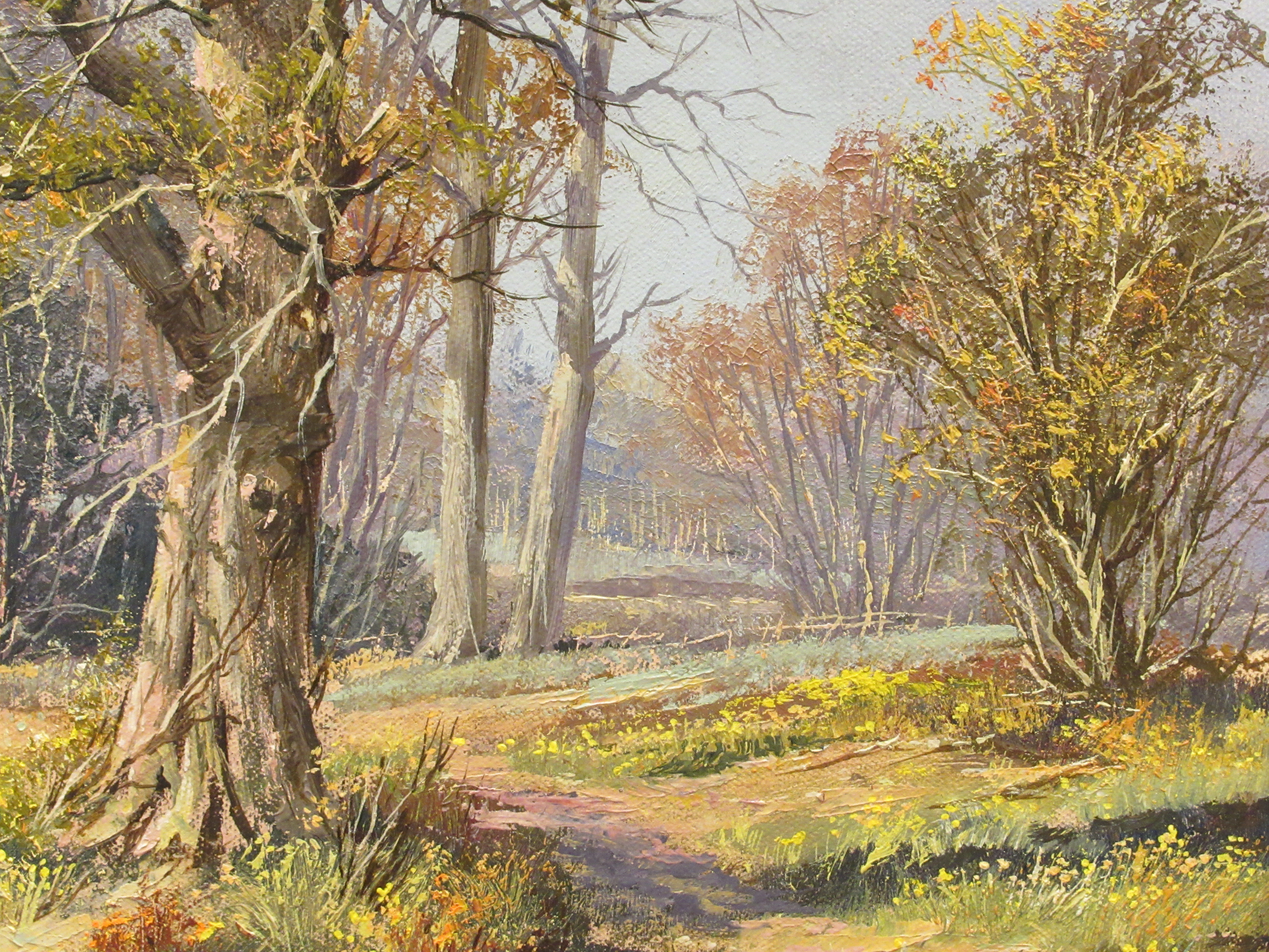 Don Vaughen - springtime with daffodils in a woodland setting  oil on canvas  bears a signature - Image 2 of 4