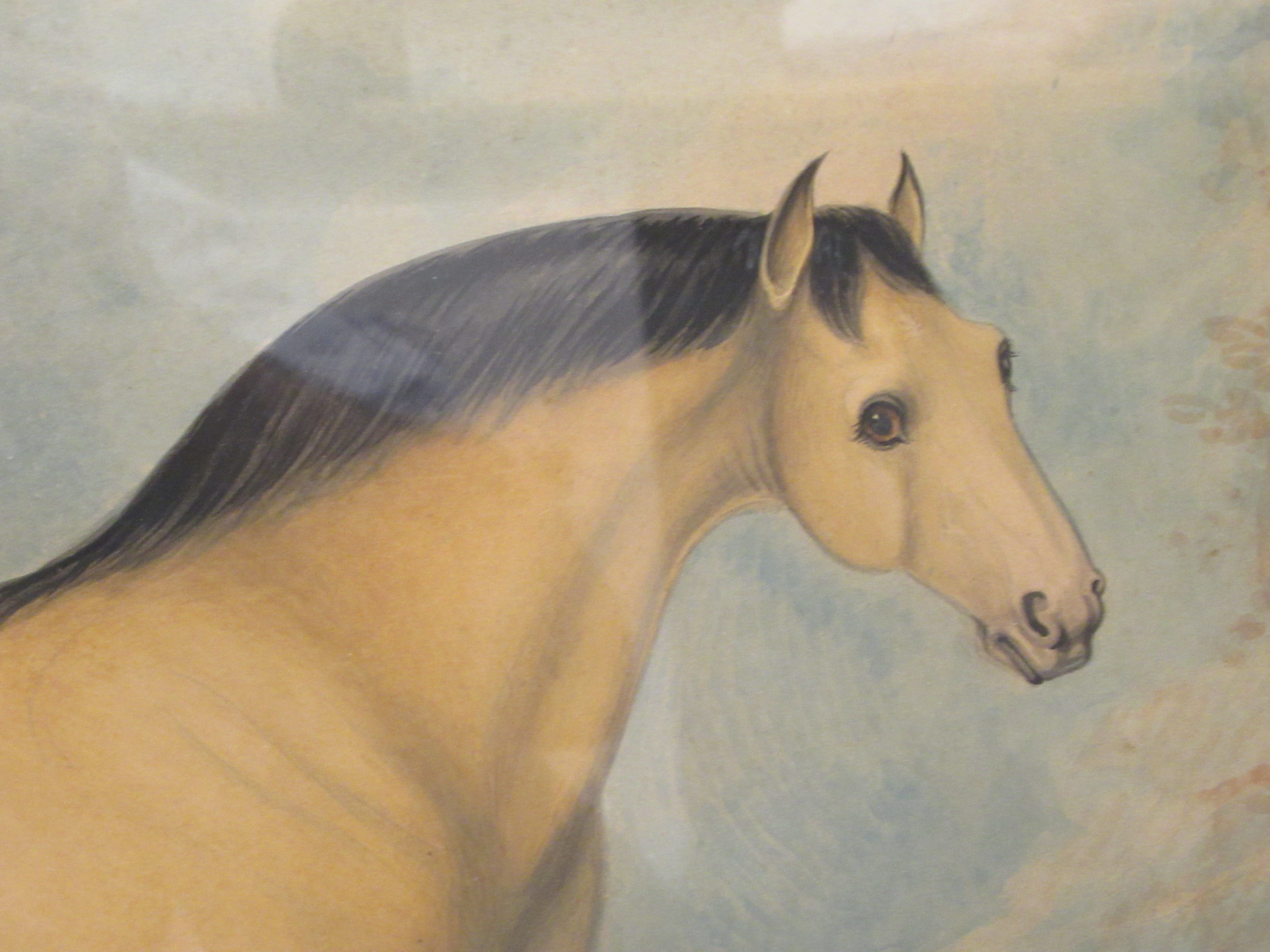 R Stennett - an equestrian study, a standing racehorse  watercolour  bears a signature  17.5'' x - Image 2 of 4