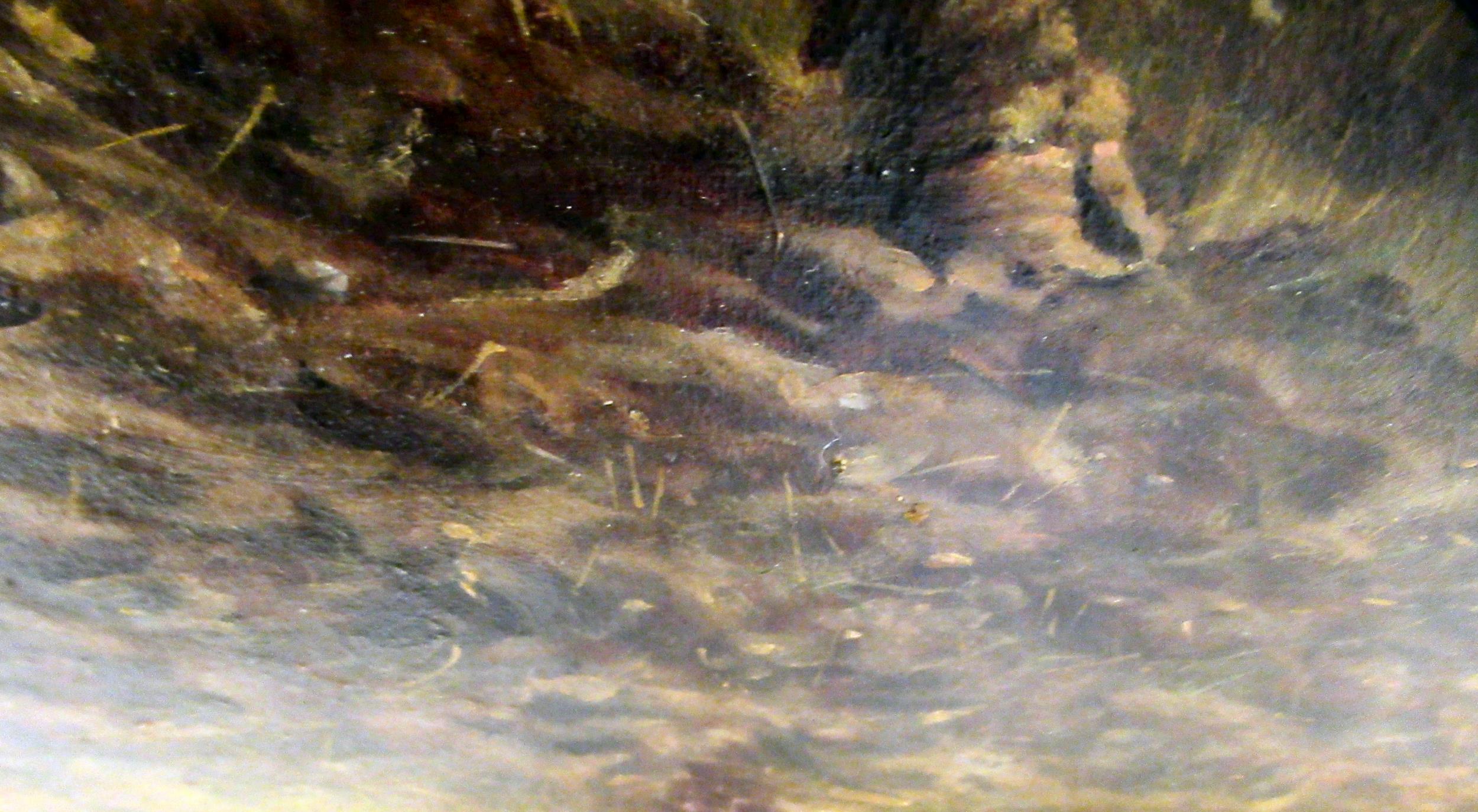 In the manner of Stanley Berkeley - ploughing with cattle in a landscape setting  oil on canvas - Image 6 of 7