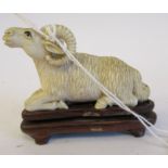 A 19thC carved ivory model, a seated ram  1.5"h on a hardwood stand