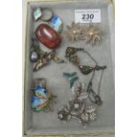 Jewellery: to include a silver mounted, amber brooch; and enamelled items