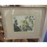 Norman Webster - 'Yellow Daisies'  Limited Edition 1/30 coloured print  bears a pencil signature &