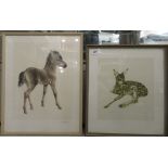 After K Meyer-Eberhardt - 'Shetland Foal'  etching  15" x 12"  framed; and after R Bruckner - 'Young