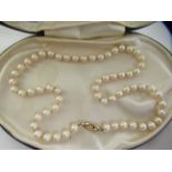 A single row, cultured pearl necklace, on a 9ct gold clasp  cased