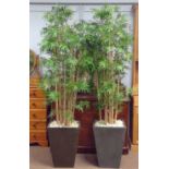 A pair of bamboo effect plants