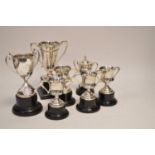 A selection of silver trophies