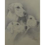 Susan Dewing - pencil portrait of dogs