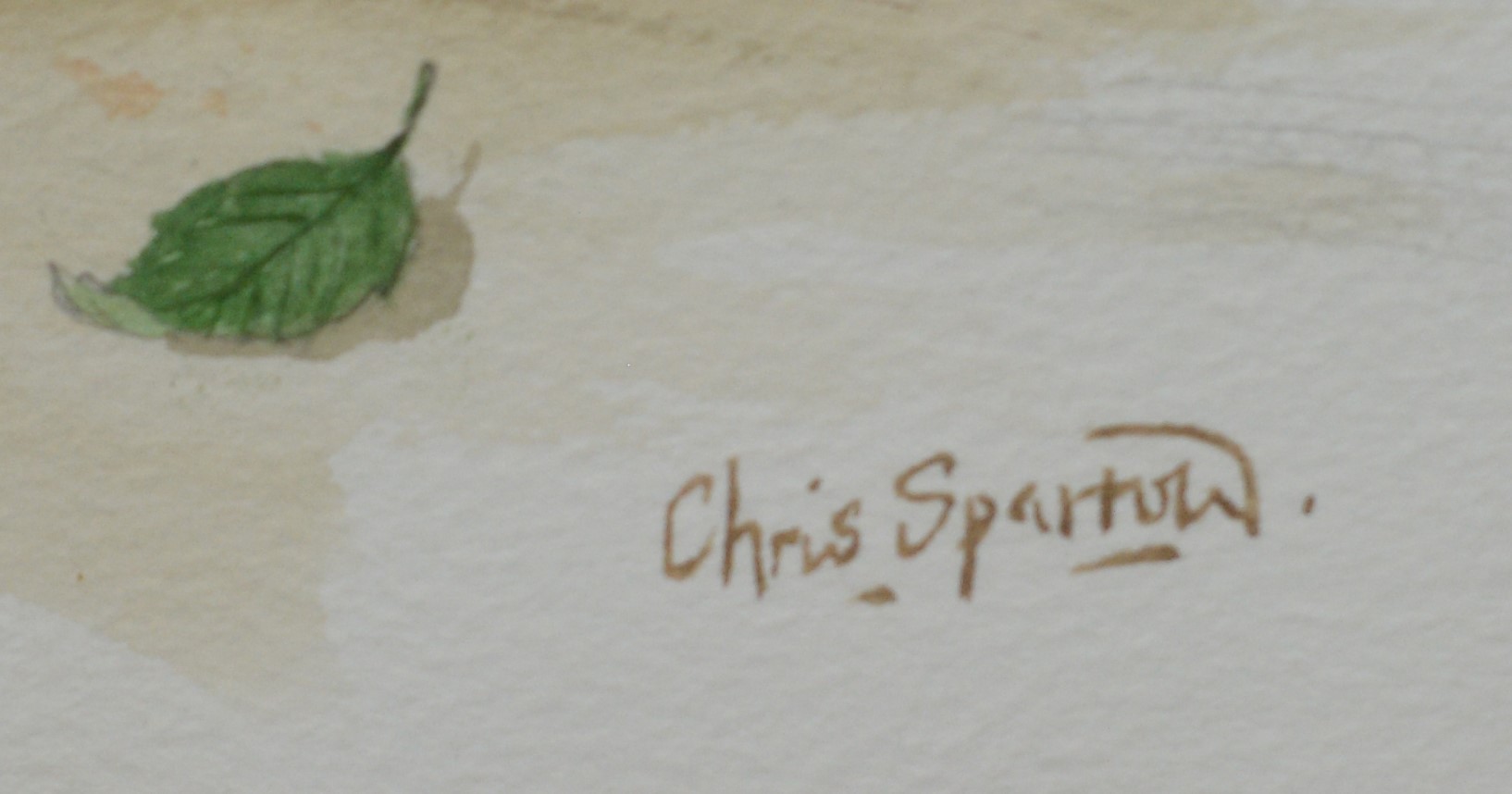 Chris Sparrow - watercolour. - Image 2 of 3