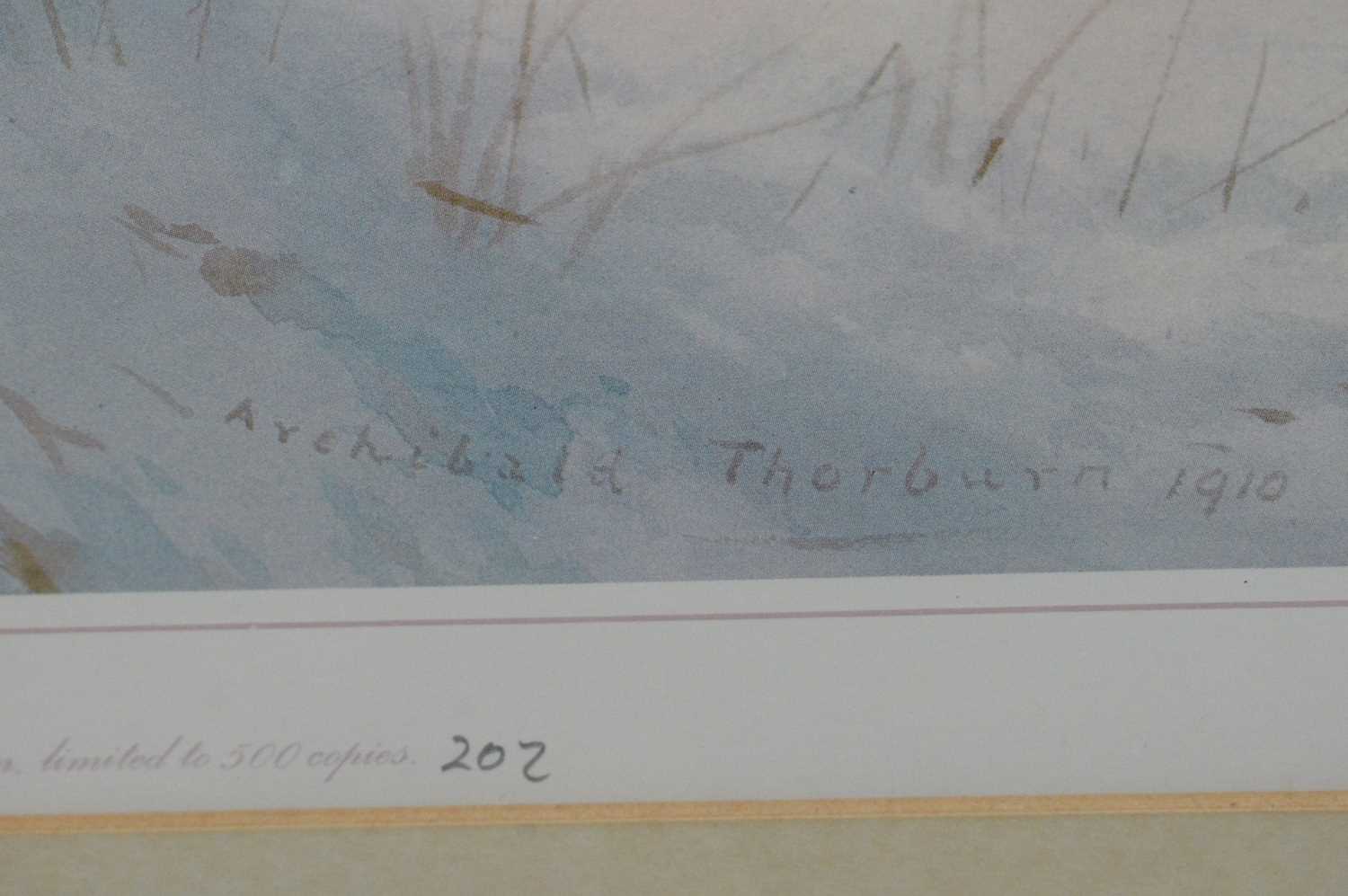 After Archibald Thorburn - coloured print - Image 3 of 3