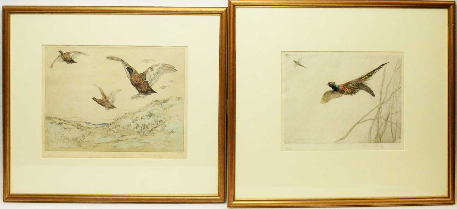 George Vernon Stokes - etchings