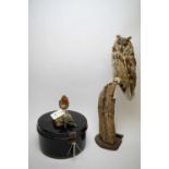 Two taxidermy specimens; and a tin metal box.