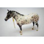 Beswick Appaloosa Stallion.