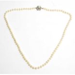 A single row cultured pearl necklace