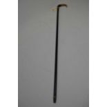 Horn handled, silver collared walking stick