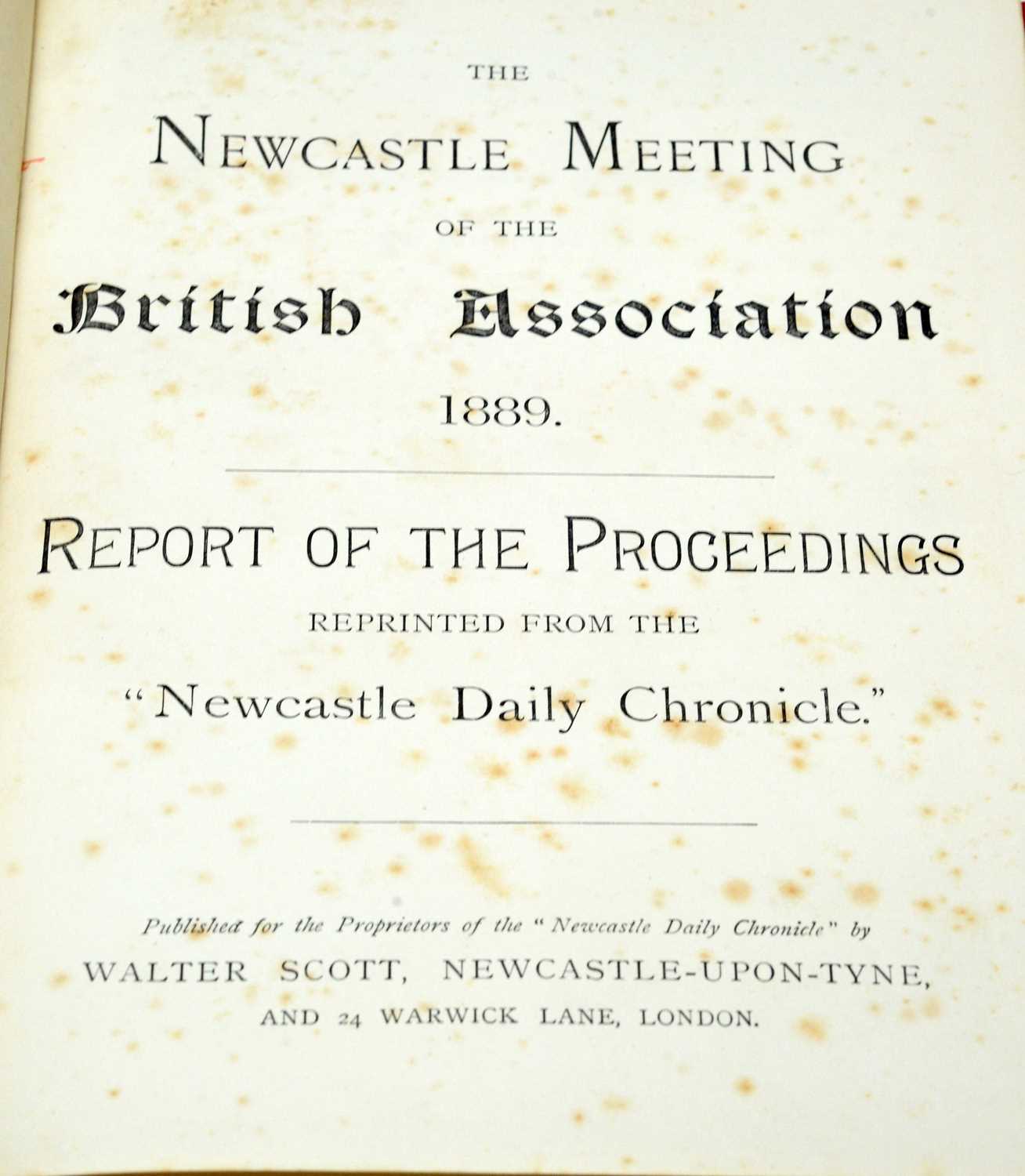 Three Newcastle interest volumes - Image 4 of 5