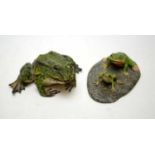 Three cold painted bronze frog figures