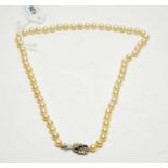 A pearl necklace with high carat white metal, diamond, and sapphire clasp.
