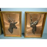 A pair of copper kudu stag wall plaques