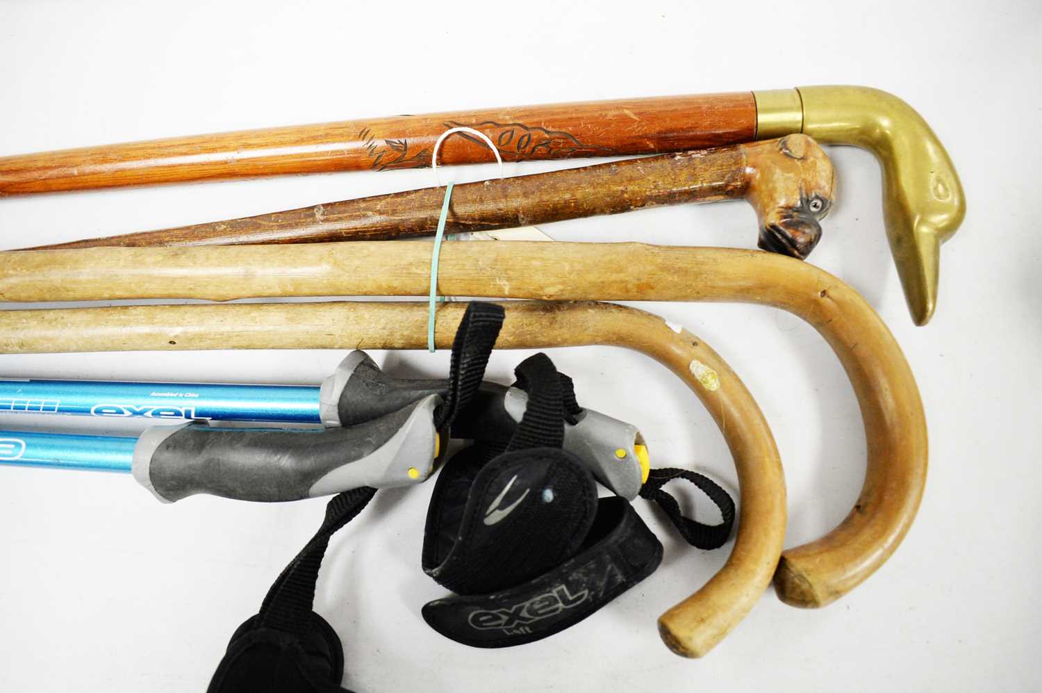 Selection of walking sticks and poles