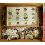 Selection of cased and loose geological specimens
