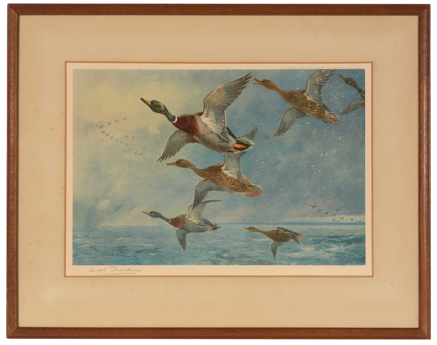 Archibald Thorburn - print