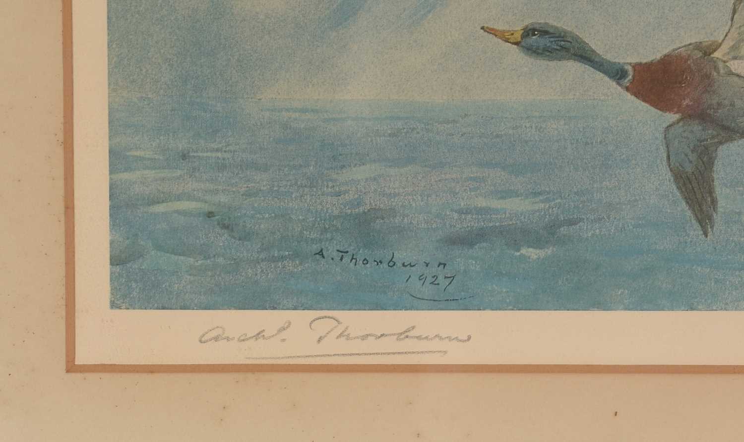 Archibald Thorburn - print - Image 2 of 2