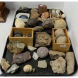 Collection of mineral specimens